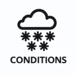 Homepage 11 conditions icon