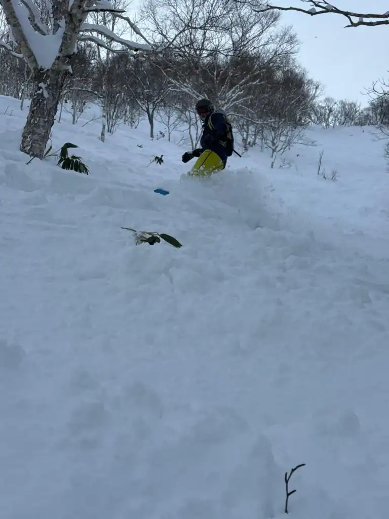 0d2f551e c25d 4bcf 9717 68d0d9b1e5f6