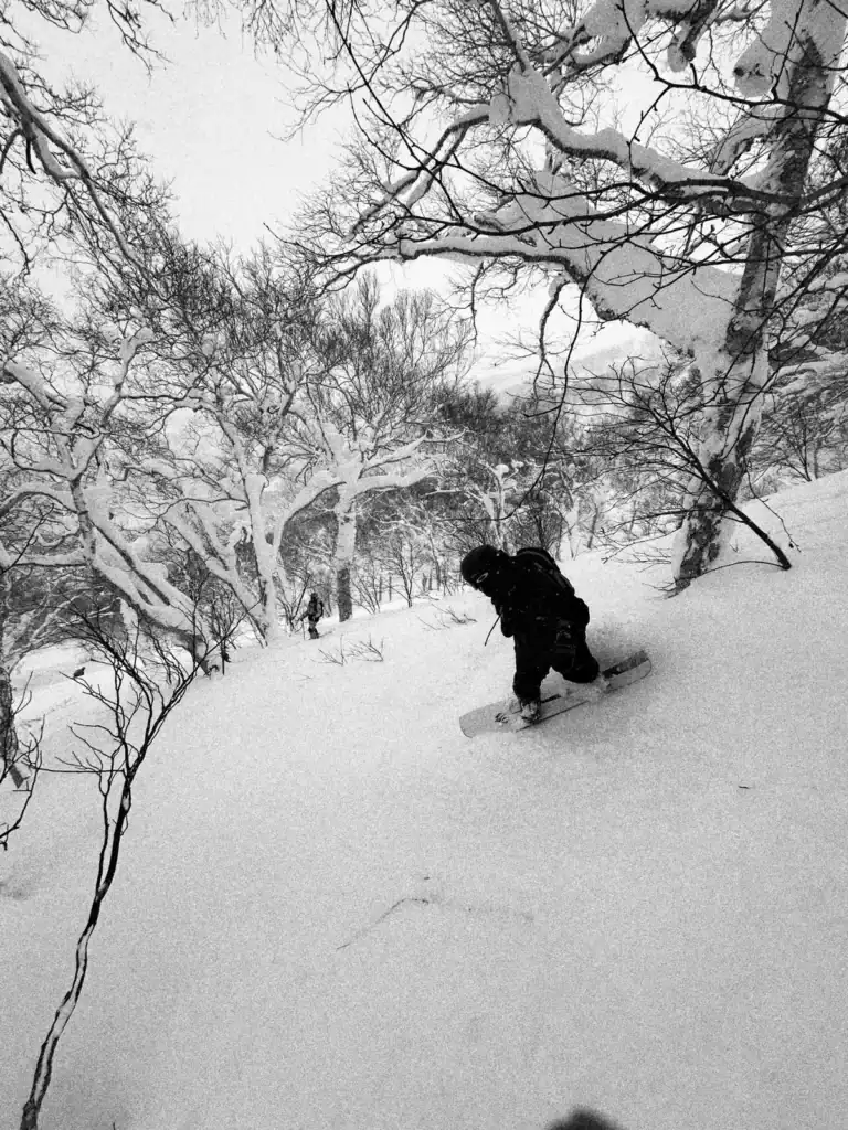 6a23f0c3 a5ae 466a aaf2 3a88303d3cfa