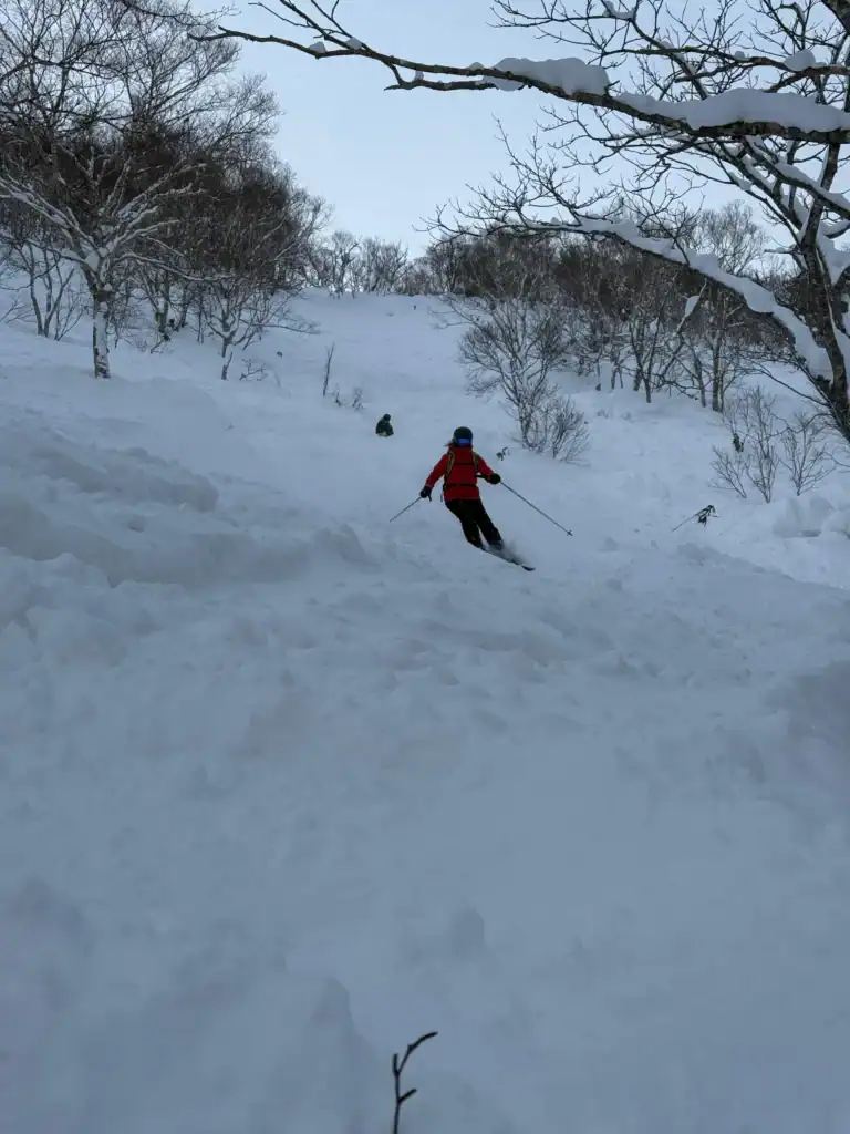 6ed8bac2 89d6 4caa 845a fb9aa73d2d86