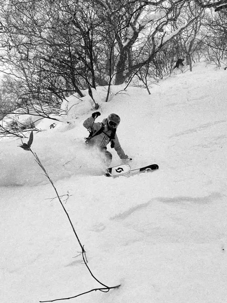 fe7c3d13 9a5a 4b30 9d0c b6c5f4498615