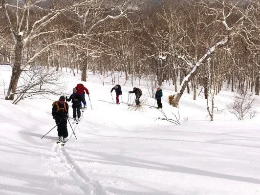 card backcountry touring edited