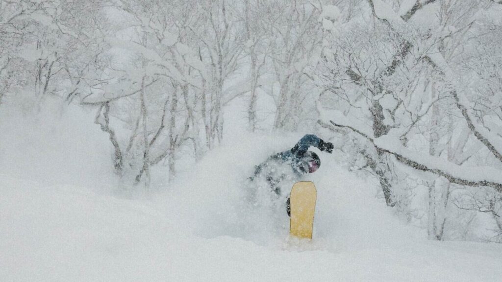 rider en nieve polvo en la gate 11 de Niseko