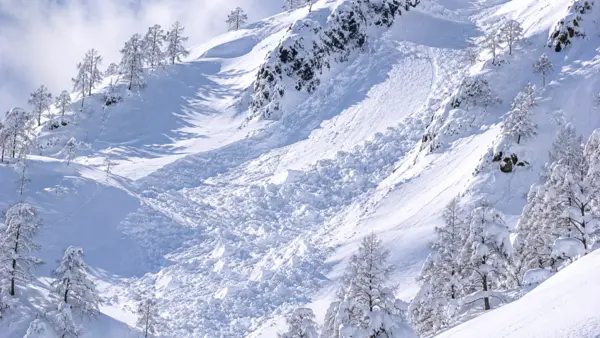 Prevención de Avalanchas 25 recent avalanches