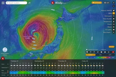 windy